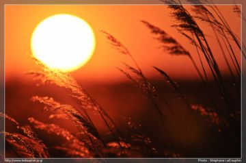 Coucher de Soleil